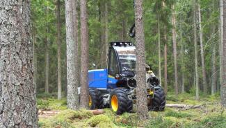 Macchine forestali Harvester forestali Rottne H 8 B