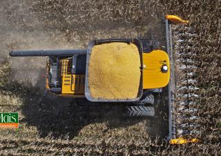 Demolizione-Frantumazione Mietitrebbie - testate per mais Valtra PM508