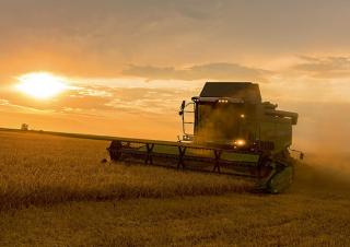 Mietitrebbie Fendt 5255 L MCS Rice