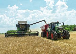 Mietitrebbie Fendt 5255 L MCS Rice
