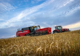 Mietitrebbie Massey Ferguson Activa 7342