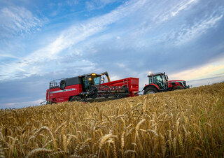 Mietitrebbie Massey Ferguson Activa 7342-MCS