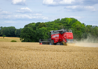 Mietitrebbie Massey Ferguson Activa 7342-MCS