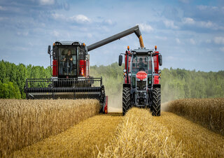 Mietitrebbie Massey Ferguson Activa 7343-MCS
