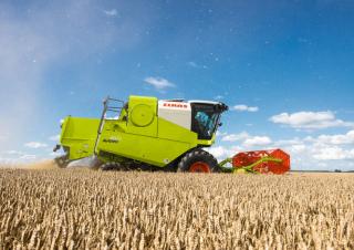 Mietitrebbie Claas Avero 240