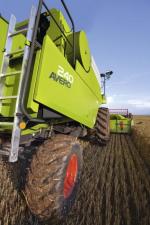 Mietitrebbie Claas Avero 240