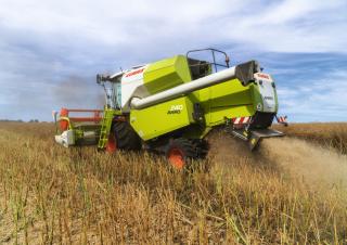 Mietitrebbie Claas Avero 240
