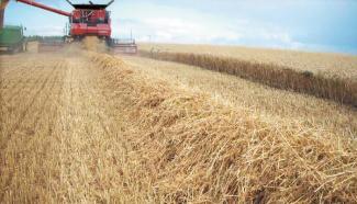 Mietitrebbie Case IH Axial Flow 8120