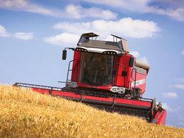 Mietitrebbie Massey Ferguson Beta 7370