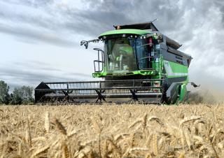 Mietitrebbie DEUTZ-FAHR C 6205 TS