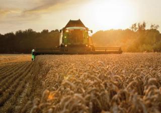 Mietitrebbie DEUTZ-FAHR C 9206 TSB
