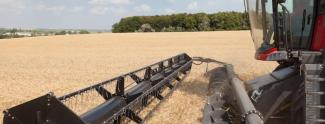Mietitrebbie Massey Ferguson Centora 7382