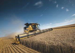 Mietitrebbie New Holland CR8.90 12.5