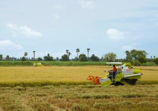 Mietitrebbie Claas Crop Tiger 40 Terra Trac