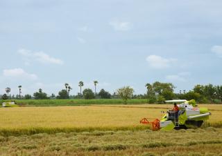 Mietitrebbie Claas Crop Tiger 40 Terra Trac