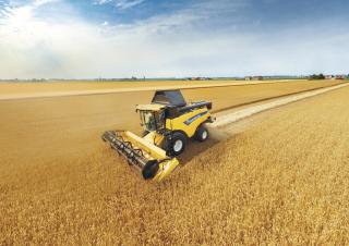 Mietitrebbie New Holland CX6.80