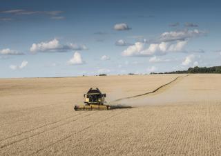 Mietitrebbie New Holland CX6.80
