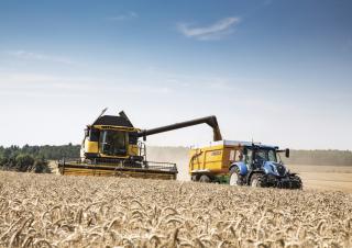 Mietitrebbie New Holland CX6.80