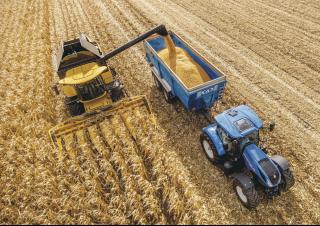 Mietitrebbie New Holland CX6.80