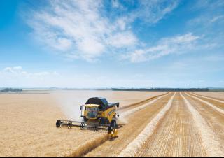 Mietitrebbie New Holland CX 6090 Elevation