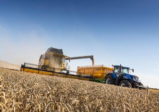 Mietitrebbie New Holland CX8.85 Elevation