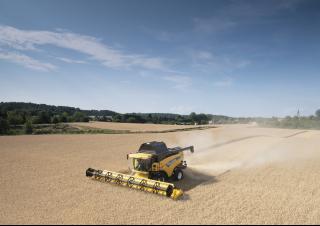 Mietitrebbie New Holland CX 8090 Elevation