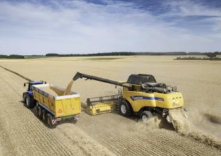 Mietitrebbie New Holland CX7.80   