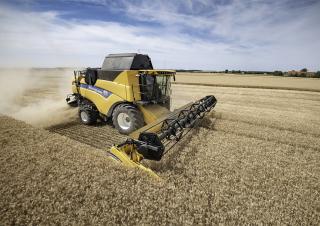 Mietitrebbie New Holland CX7.80   