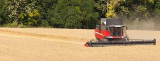 Mietitrebbie Massey Ferguson Delta 9380