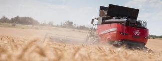 Mietitrebbie Massey Ferguson Delta 9380