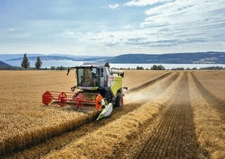 Mietitrebbie Claas Evion 450 Maxi    