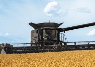 Mietitrebbie Fendt Ideal 7T 
