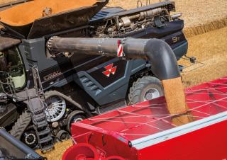 Mietitrebbie Massey Ferguson Ideal 9 T