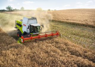 Mietitrebbie Claas Lexion 5500 Montana 