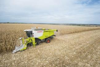 Mietitrebbie Claas Lexion 670