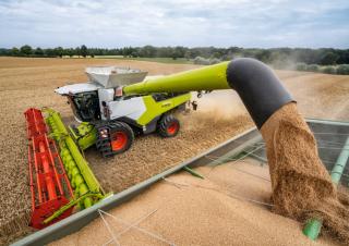 Mietitrebbie Claas Lexion 6900 