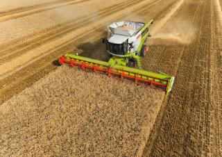 Mietitrebbie Claas Lexion 770
