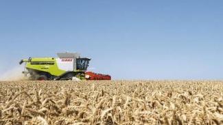 Mietitrebbie Claas Lexion 770 TerraTrac
