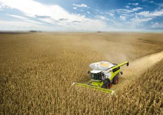 Mietitrebbie Claas Lexion 8800 TerraTrac 