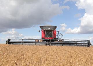 Mietitrebbie Massey Ferguson MF 9795