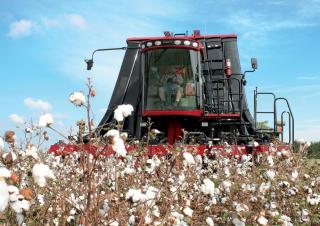 Mietitrebbie Case IH Module Express 635