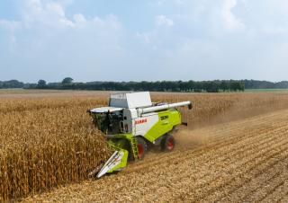 Mietitrebbie Claas Tucano 550
