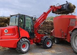 Pale gommate Schäffer 6680 T