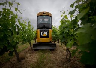 Miniescavatori Caterpillar 302 CR
