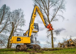 Movimentatori di materiali Liebherr LH 30 C Industry Litronic