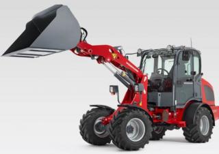 Pale gommate Weidemann 2080