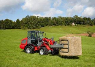 Pale gommate Weidemann 2080
