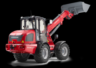 Pale gommate Weidemann 3080 LP T 
