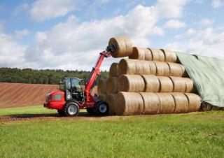 Pale gommate Weidemann 3080 T