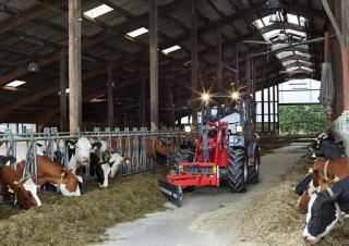 Pale gommate Weidemann 3080